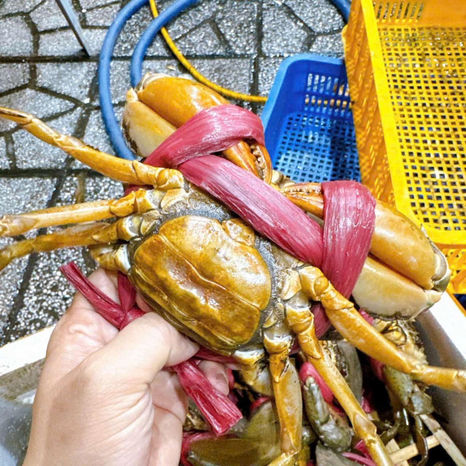 Cua gạch đầy 3-4 con/kg