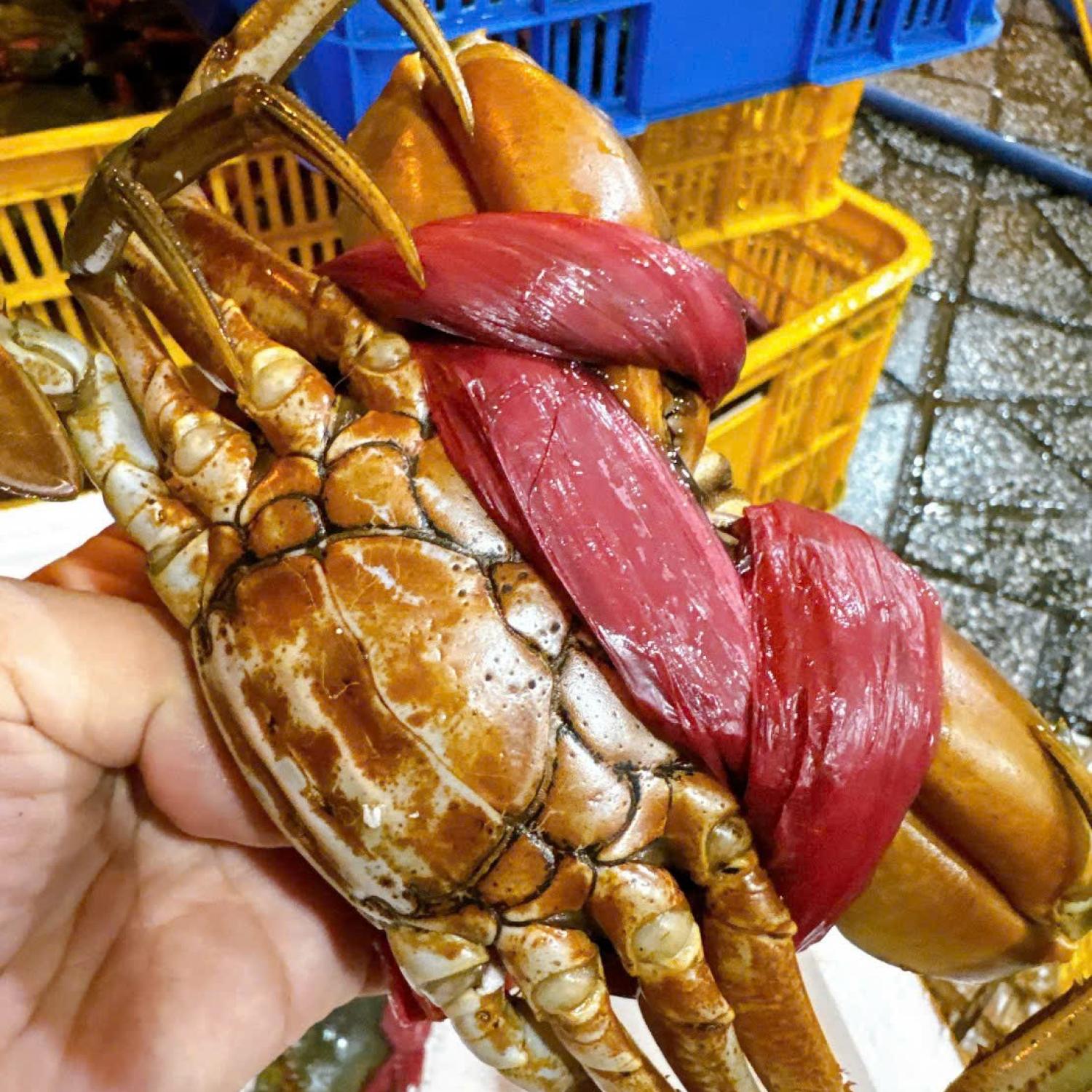 Cua thịt 4 con/kg