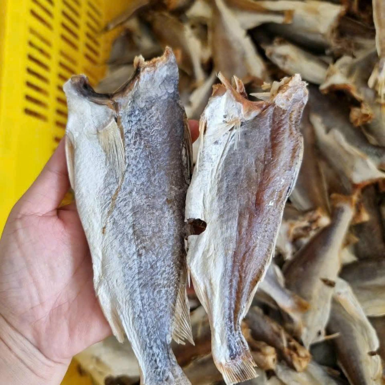 Khô cá đù lớn