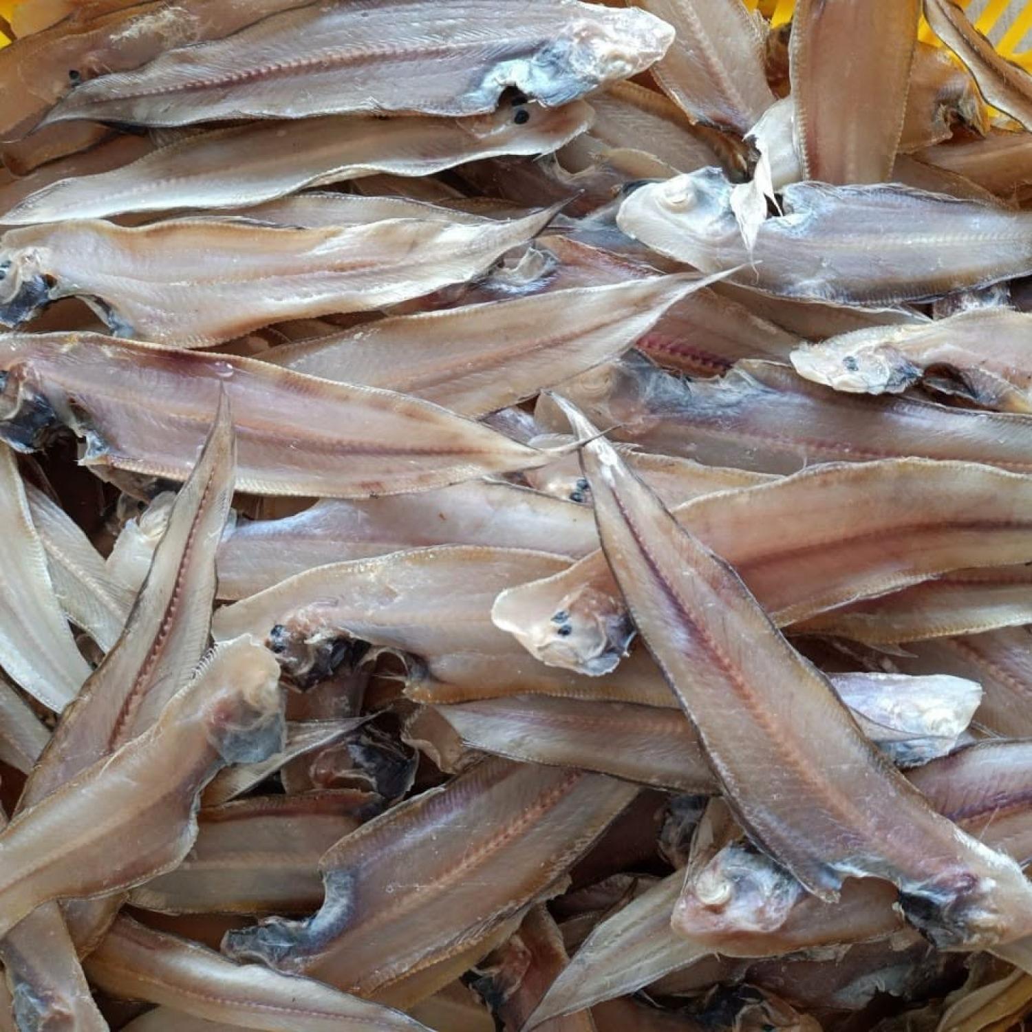 Khô cá lưỡi trâu trung