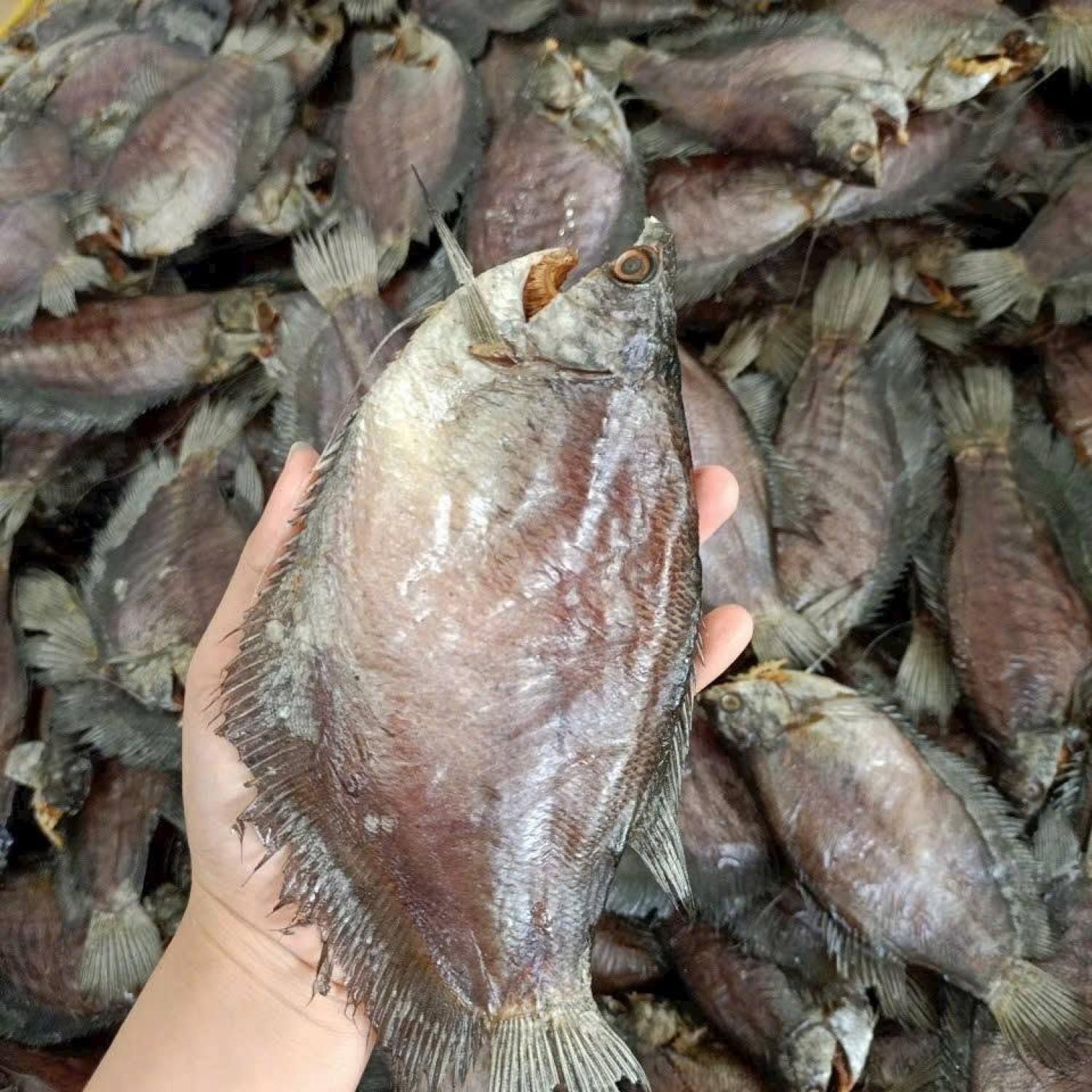 Khô sặc rằn lạt 9-10 con/kg