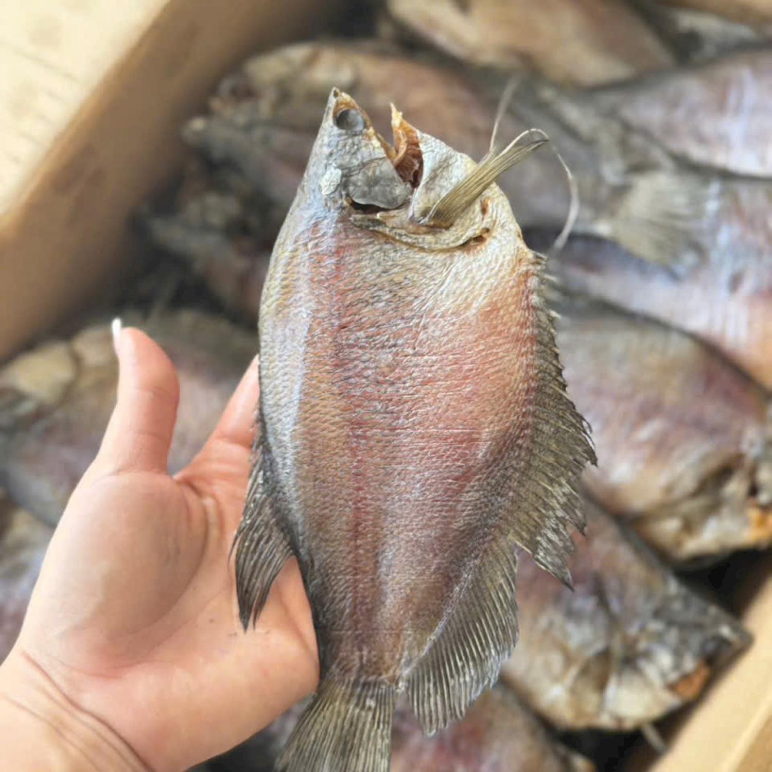 Khô sặc rằn lạt 11-12 con/kg