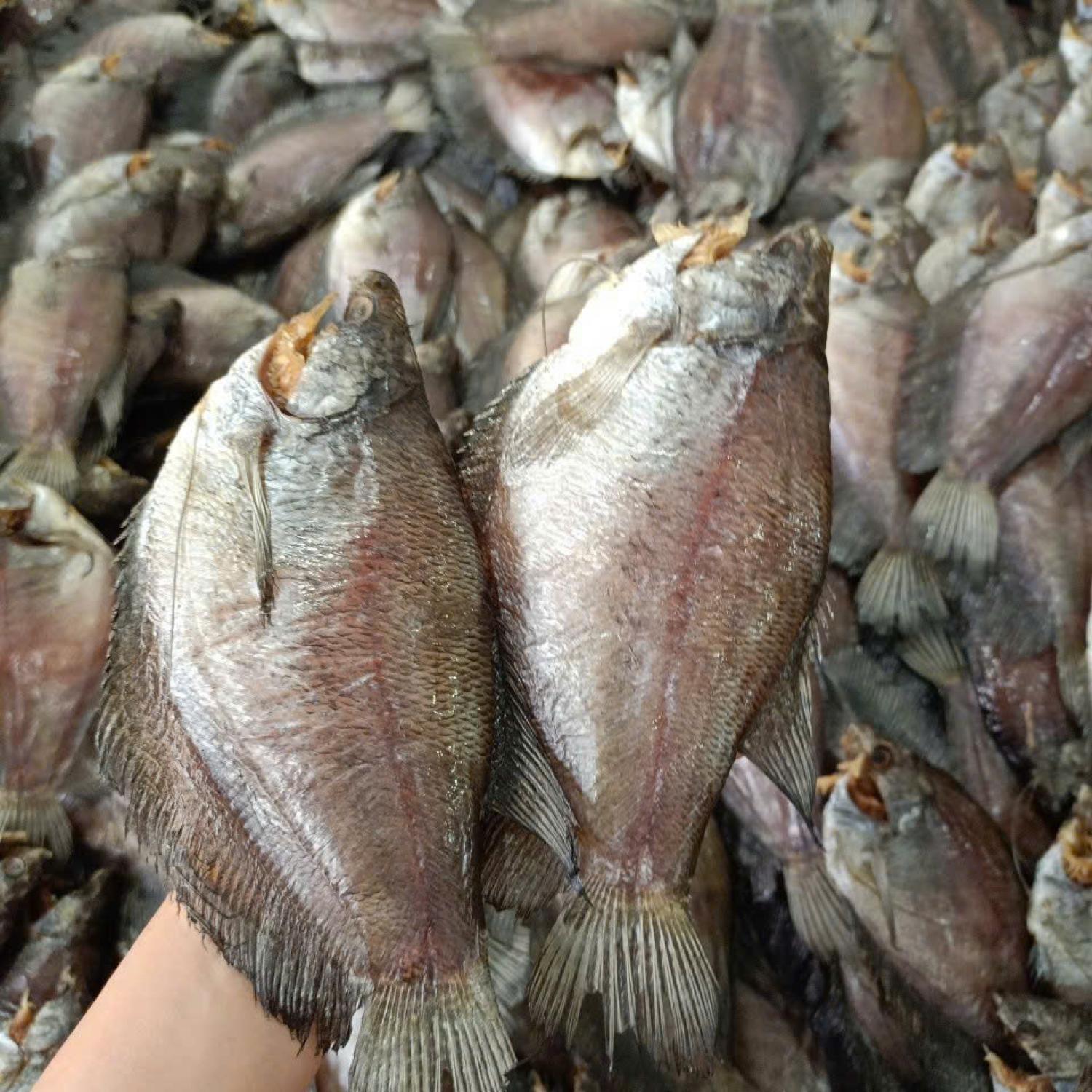 Khô sặc rằn lạt 13-14 con/kg