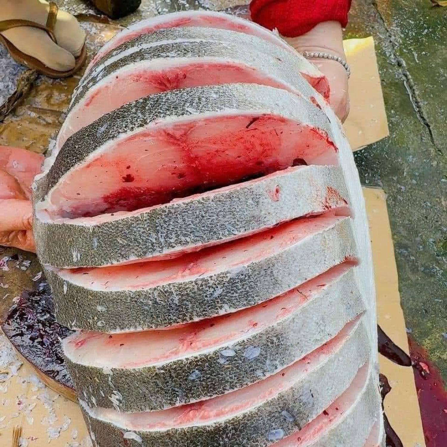 Thịt cá bóp làm sạch cắt khoanh