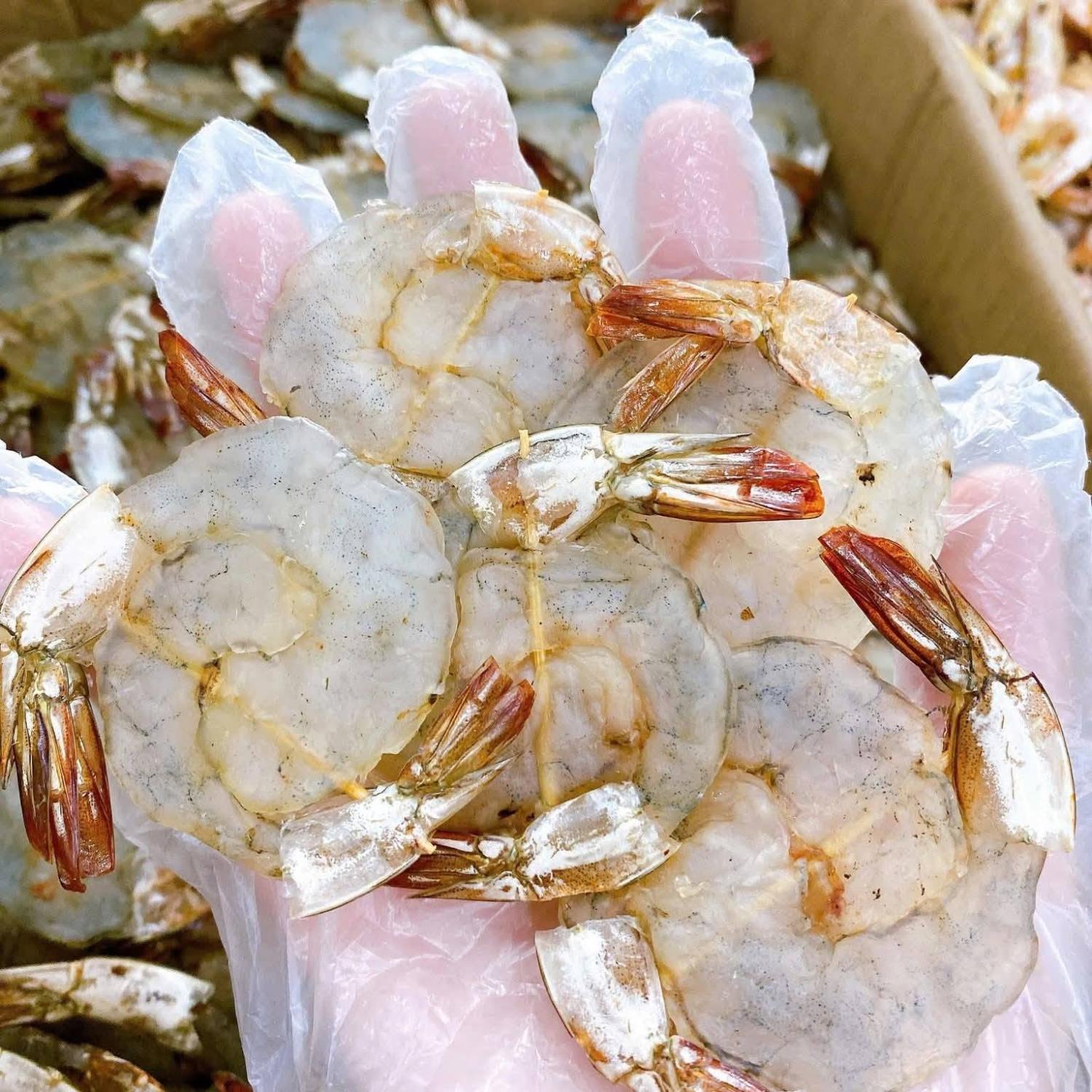 Tôm thẻ lụi