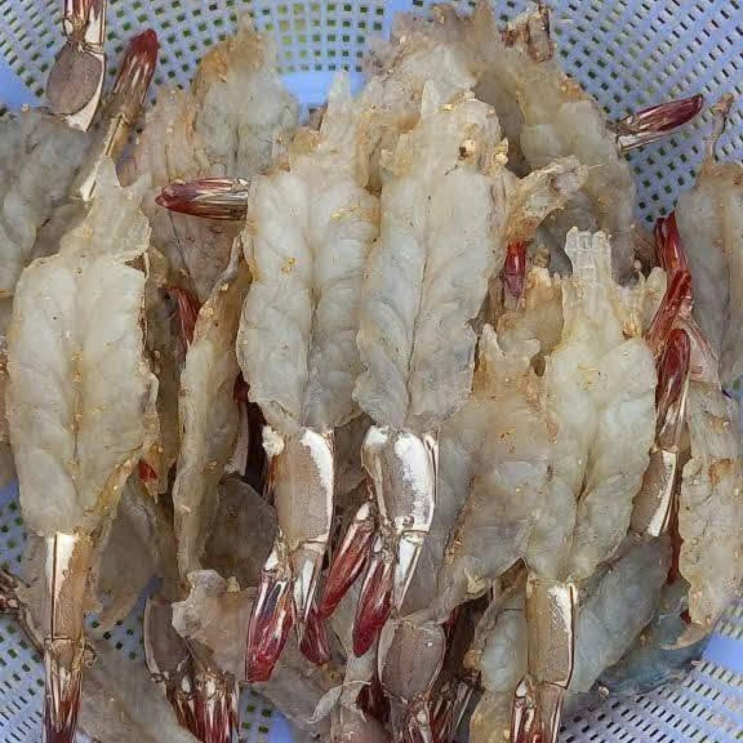 Tôm thẻ thiên nhiên xẻ 4 nắng
